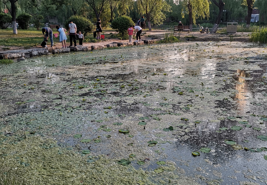 （黨報(bào)熱線幫你辦） %0A小湄河河面咋漂浮(2694381)-20220523101502.jpg